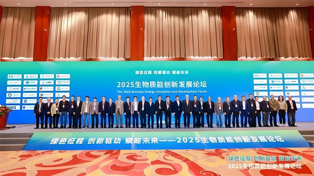 生物質(zhì)能產(chǎn)業(yè)跨越式發(fā)展：直燃技術(shù)破局碳中和新路徑